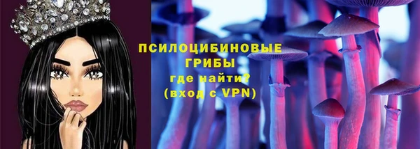 амф Алзамай