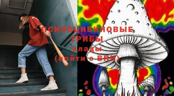 амф Алзамай