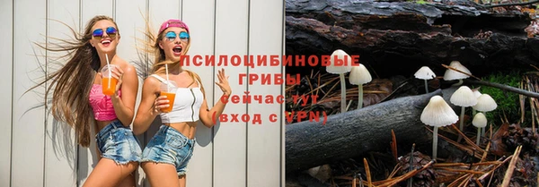 гидропоника Алексеевка