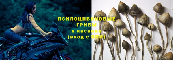 амф Алзамай